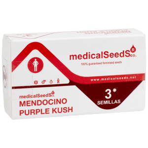 mendocino-purple-kush-caracteristicas
