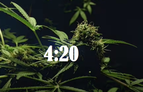que es 420