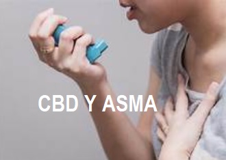 para que se utiliza el cbd