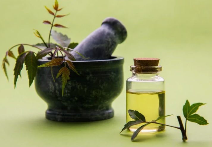 Jabón potásico y aceite de neem: ¿cuál es mejor? - RQS Blog