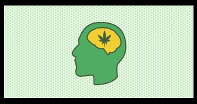 cbd ansiedad opiniones