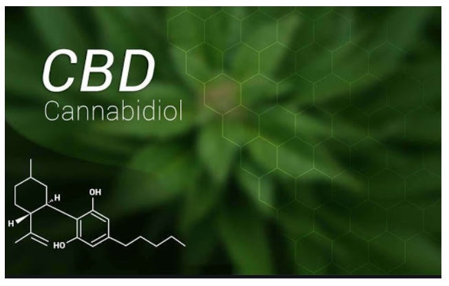 cbd cannabidiol