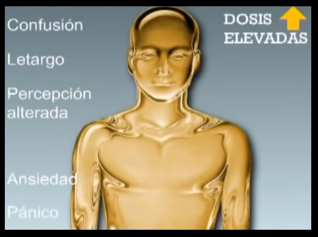 sintomas de un amarillo