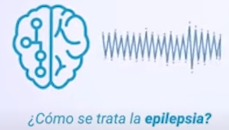 cbd epilepsia