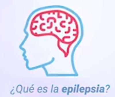 cbd epilepsia