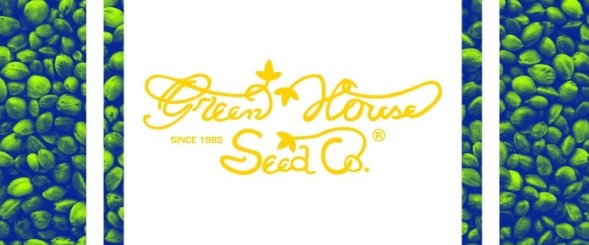 green house seeds auto