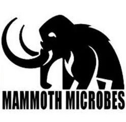 mammoth microbes