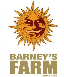 barneys farm