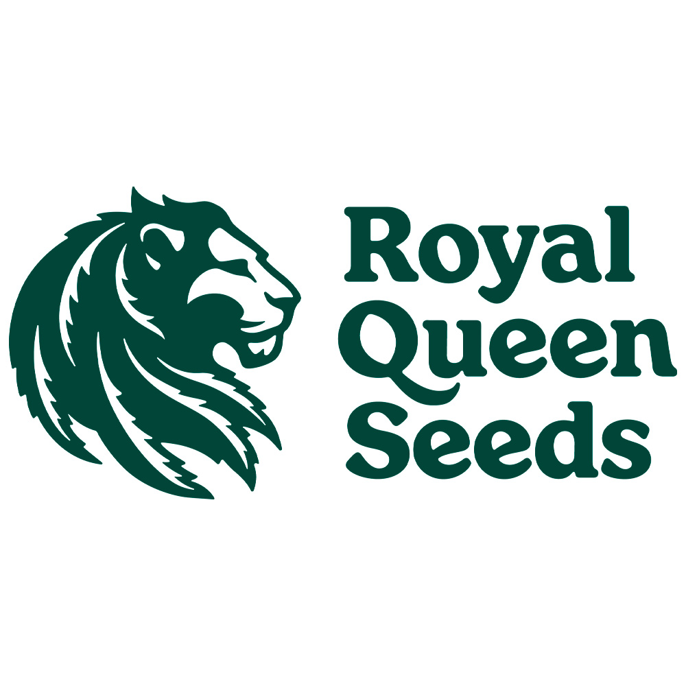 royal queen seeds auto