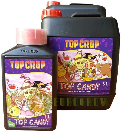 Top Candy