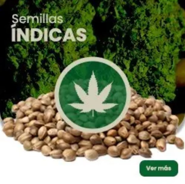 Fumar semillas de Cannabis