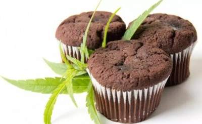 Muffins de chocolate de marihuana