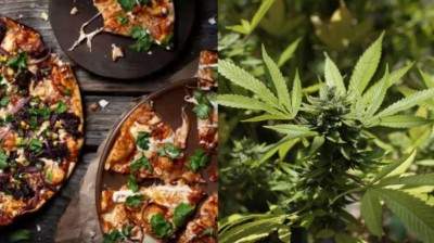 Marihuana-Pizza Schritt für Schritt