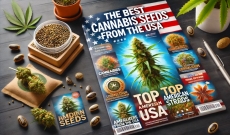 Las 10 Mejores Semillas de Marihuana de USA - TOP