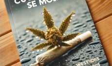 ¿Qué hacer cuando un porro se moja?