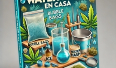 Guía Completa para Hacer Water Hash en Casa