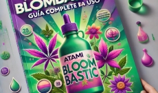 ¿Como usar Bloombastic? Guía Completa de Uso