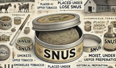 ¿Qué es el snus? Origen y características