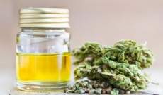 Cannabis-Olivenöl