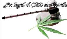 ¿CBD Legal España? Descubrelo