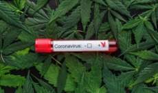 Marihuana como Tratamiento para el Coronavirus