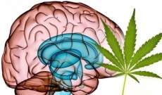 ¿La marihuana mata neuronas?