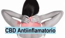 CBD Antiinflamatorio