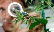 Krankheiten, bei denen medizinisches Marihuana Auswirkungen hat