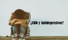 CBD y Antidepresivos