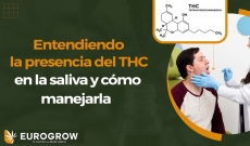 ¿Cuánto tiempo puede durar el THC en la saliva?