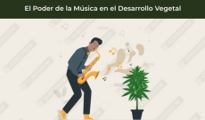 ¿Afecta la Música a las Plantas?