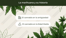 Origen e Historia del Cannabis