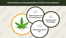 Cómo usar Co2 en Cultivos de Marihuana