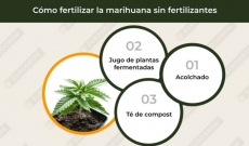¿Como cultivar marihuana sin fertilizantes?