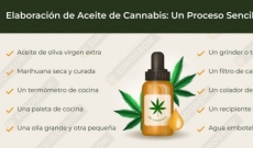 ¿Como Hacer Aceite de Cannabis? Receta