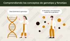 Unterschied zwischen Genotyp und Phänotyp: Entdecken Sie sie