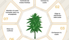 Como Preparar la Tierra para el Cultivo de Cannabis Exterior