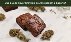 ¿Se puede llevar brownie de Amsterdam a España?