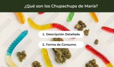Chupachups de María: Efectos, Seguridad y Responsabilidad