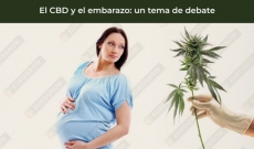 El CBD y el embarazo: un tema de debate