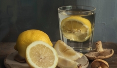 Entdecken Sie Lemon Tek: Eine revolutionäre Methode und wie sie funktioniert