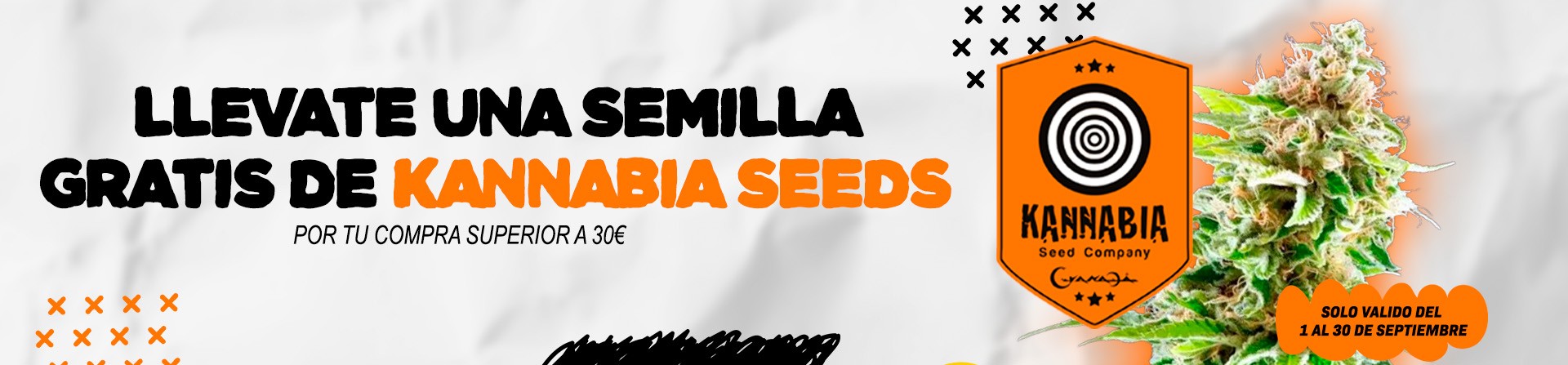 Kannabia-Seeds-Promo