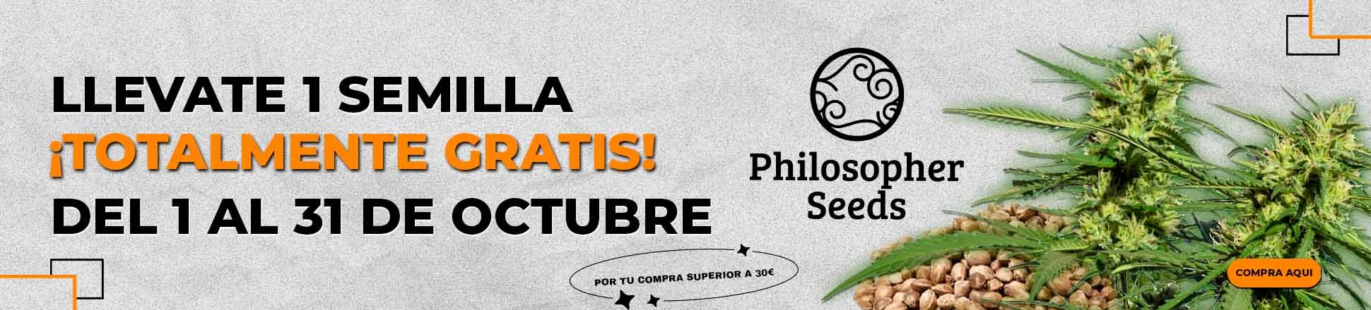 Philosopher-Seeds-Promo